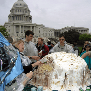 Baked Alaska