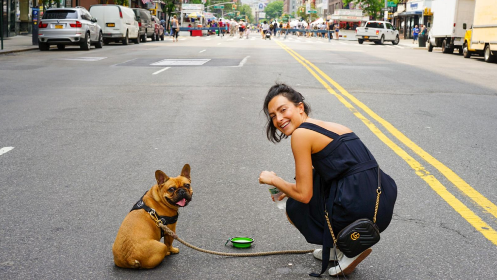 Dogwalking as a side hustle