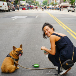 Dogwalking as a side hustle