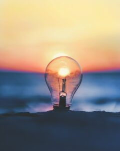 intrapreneurship