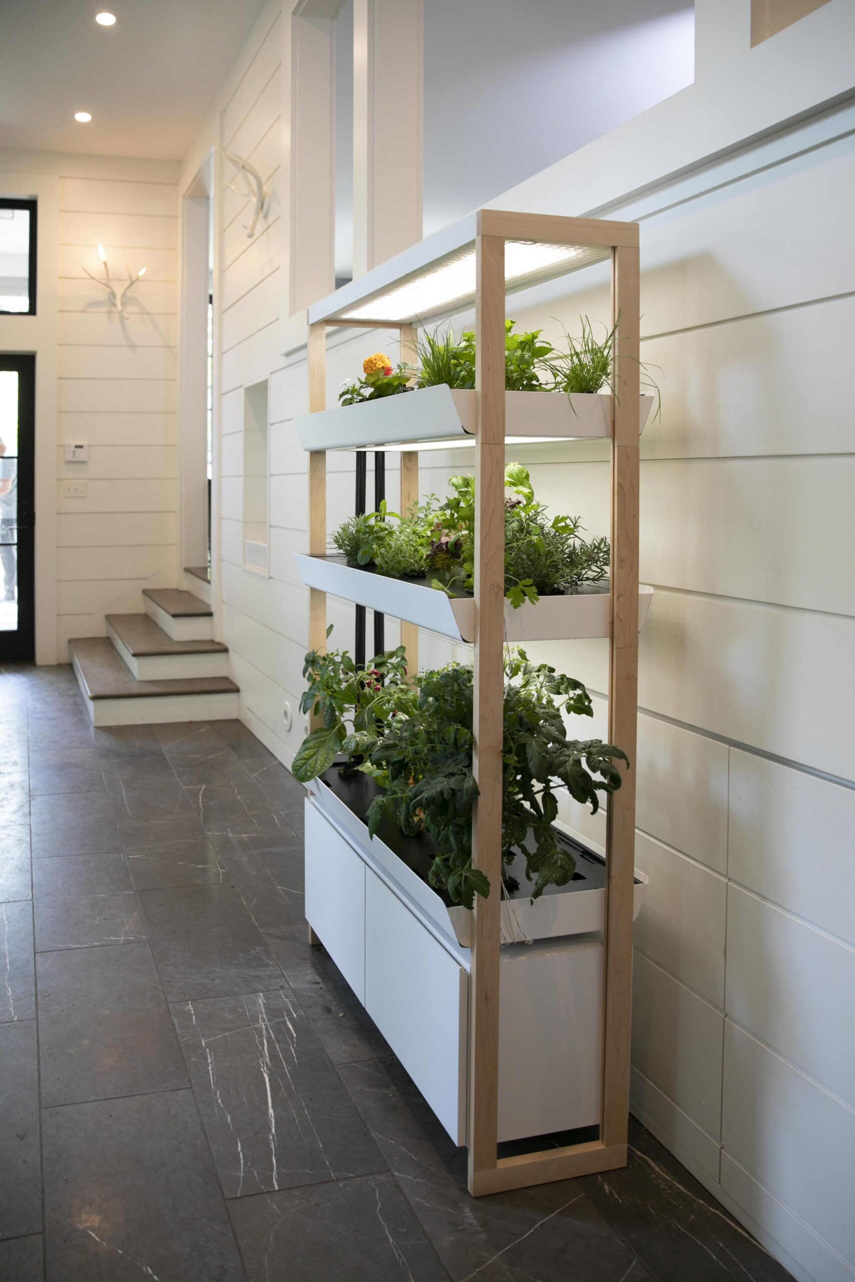 Founder Stories Rise Gardens Is Bringing Gardening Indoors StarterNoise
